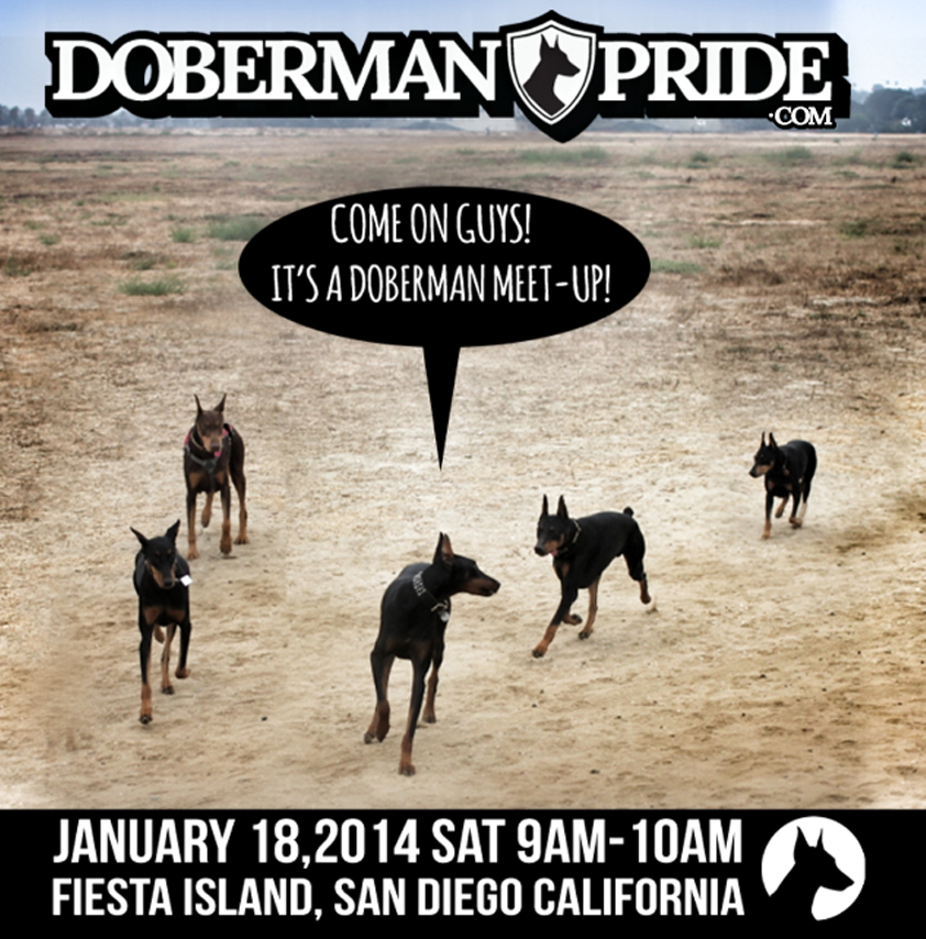 dobe meetup